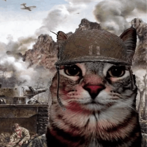 war
