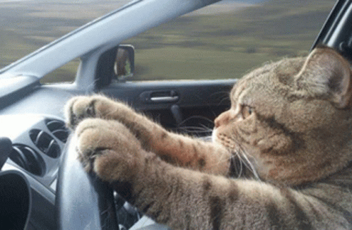 i'm on my way