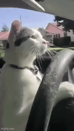 drive