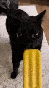 licking